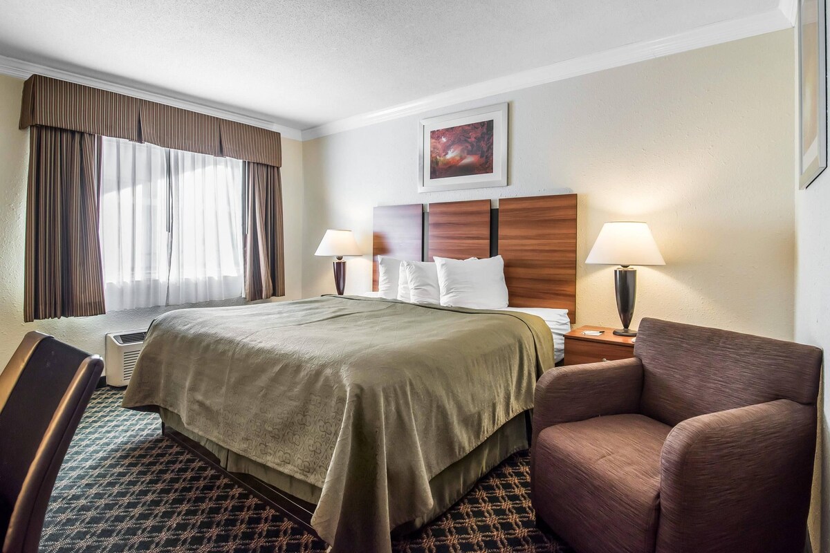 Room, 1 King Bed, Non Smoking | Pillow-top beds, desk, blackout curtains, iron/ironing board