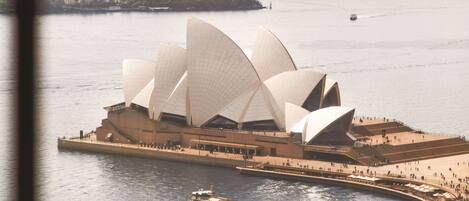 A view of the Sydney Opera House with the Sydney Harbour Bridge in the background.