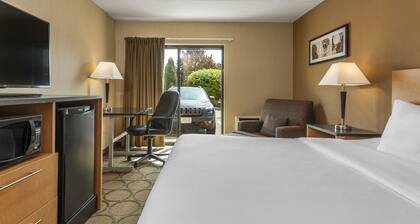 Comfort Inn Brandon