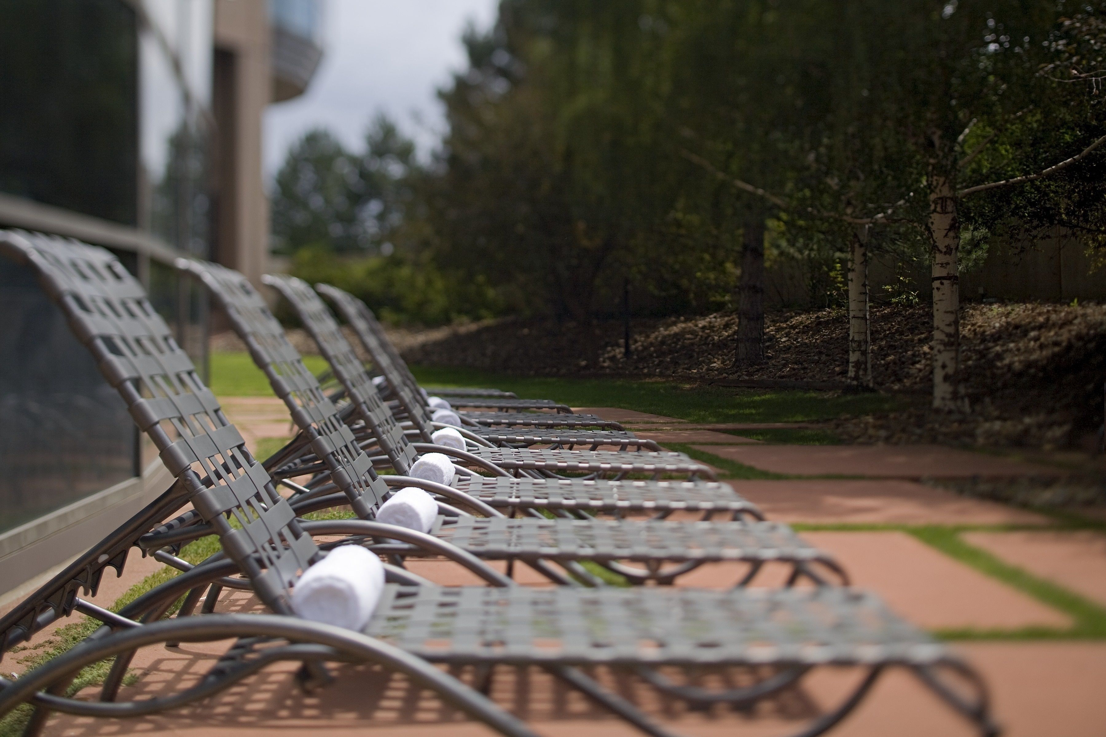 A row of metal lounge chairs with bottles on them, arranged on a paved walkway with a grassy area and trees in the background.