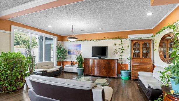 A living room with a sofa, TV, wooden cabinet, and potted plants.