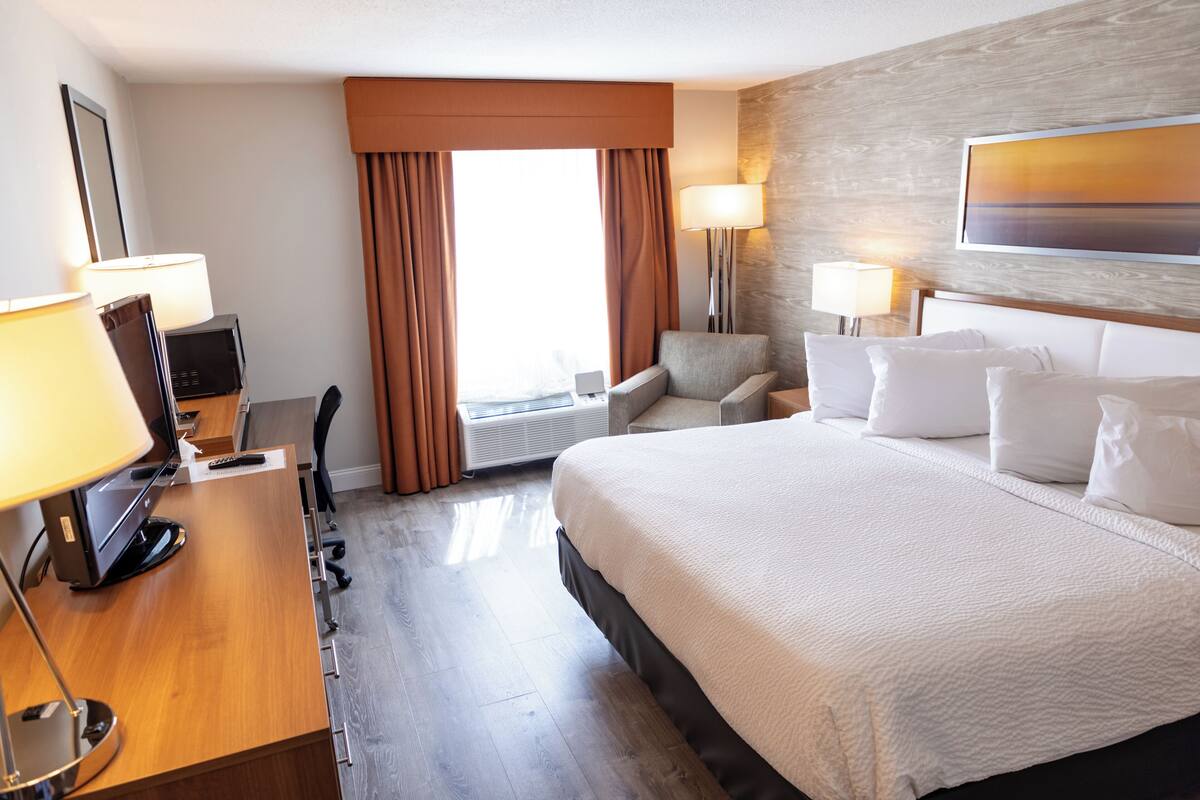 Premium Single Room, 1 King Bed with Sofa bed | Desk, laptop workspace, blackout drapes, iron/ironing board