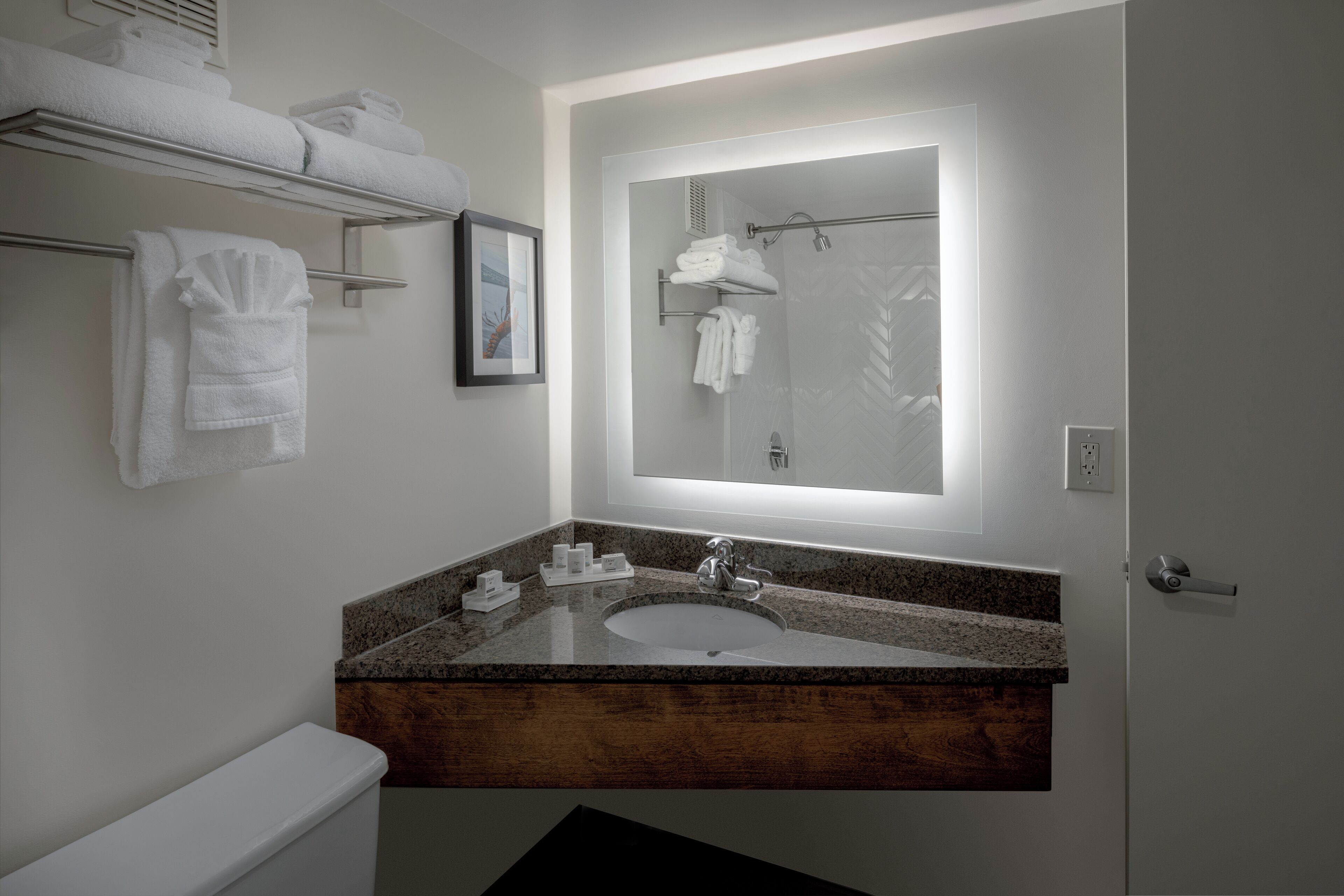 combined shower/bathtub, free toiletries, hair dryer, towels