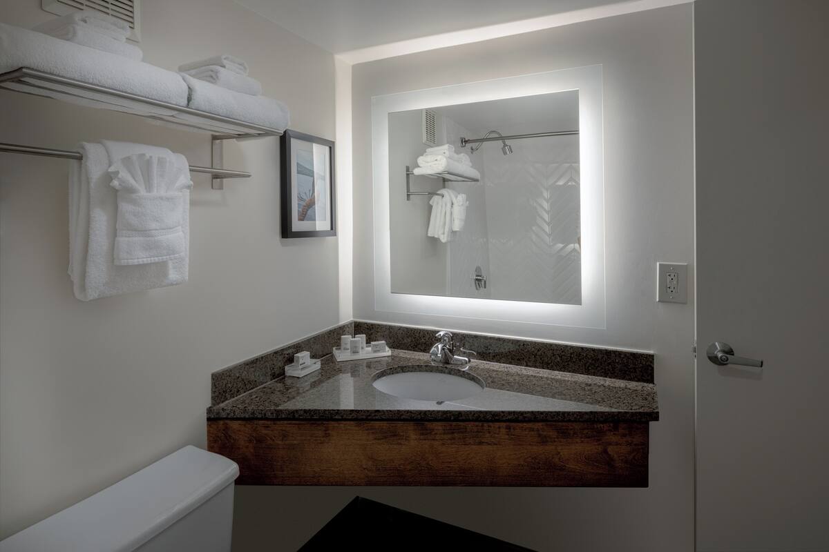 combined shower/bathtub, free toiletries, hair dryer, towels