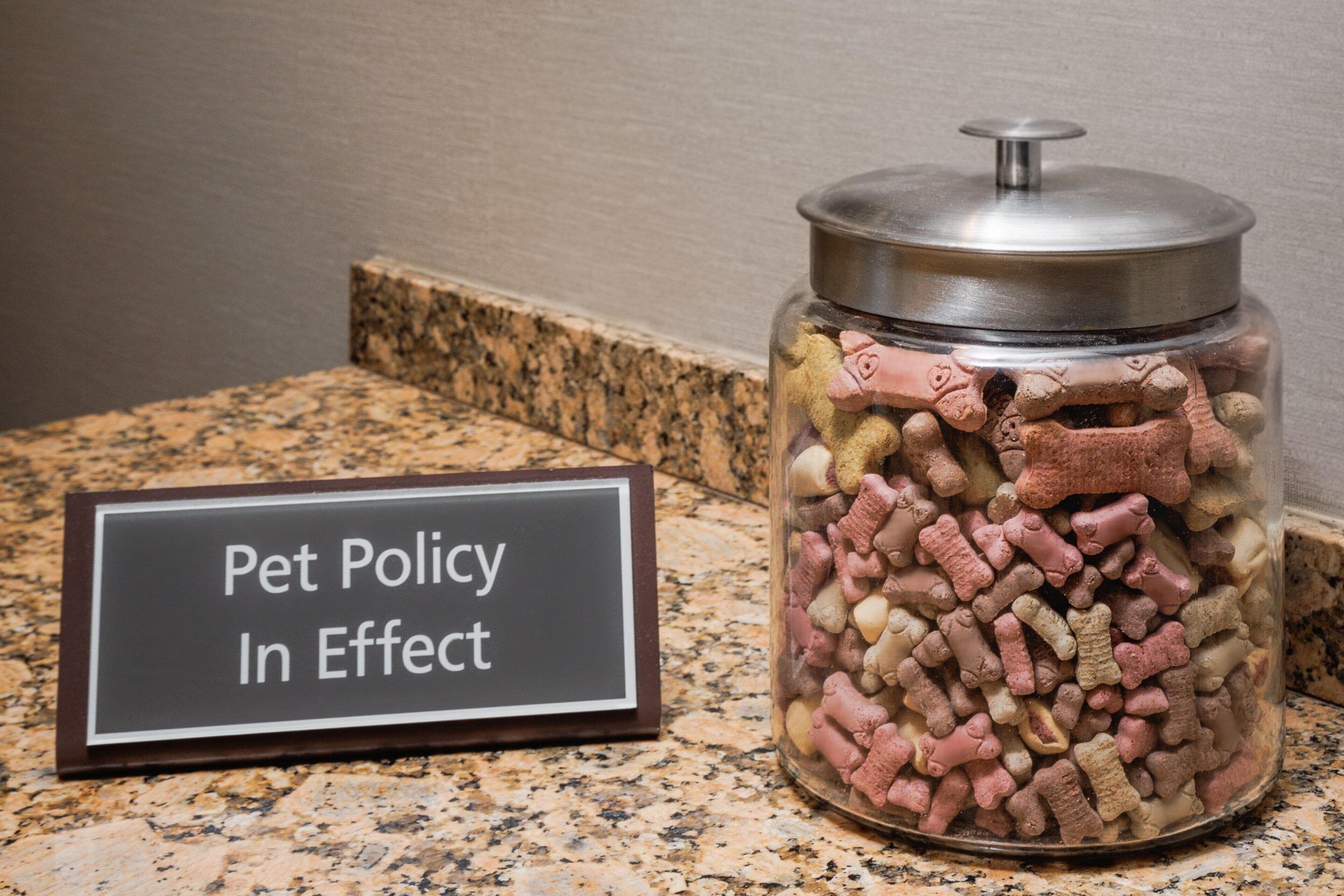 A granite countertop with a glass jar filled with pet treats and a sign that reads "Pet Policy In Effect".