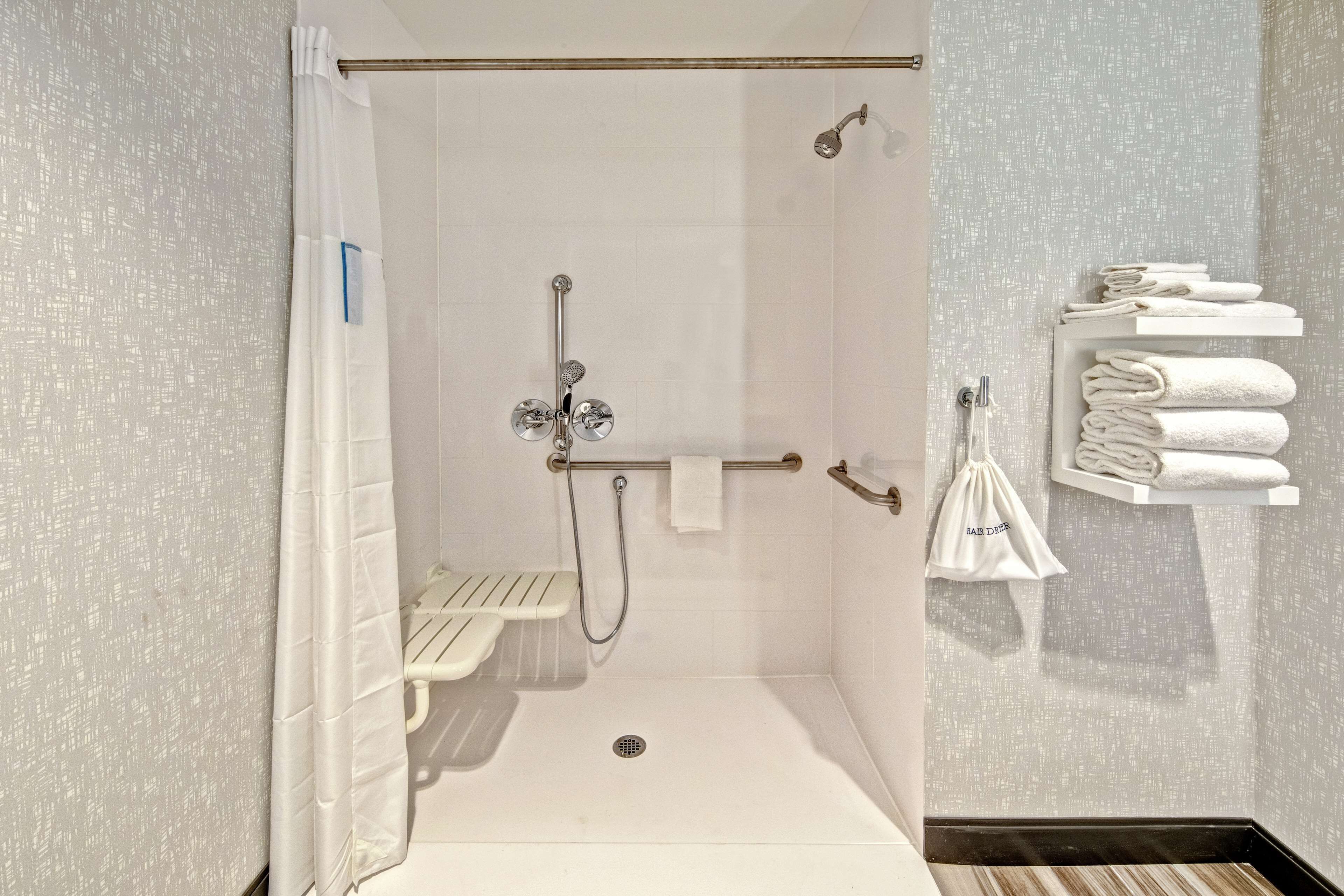 room, 1 king bed, accessible, refrigerator & microwave | bathroom shower