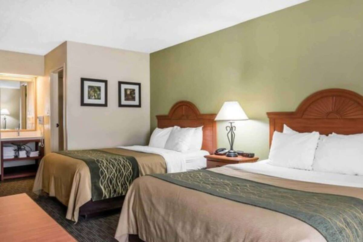 Iron/ironing board, cribs (free), rollaway beds (free), WiFi (free)