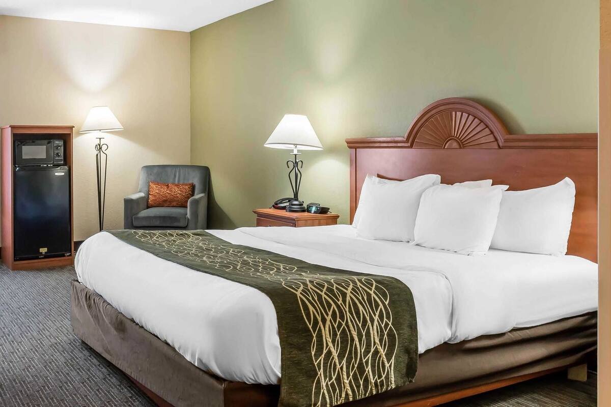 A hotel room with a bed, a chair, a desk with a lamp, a microwave, and a telephone.