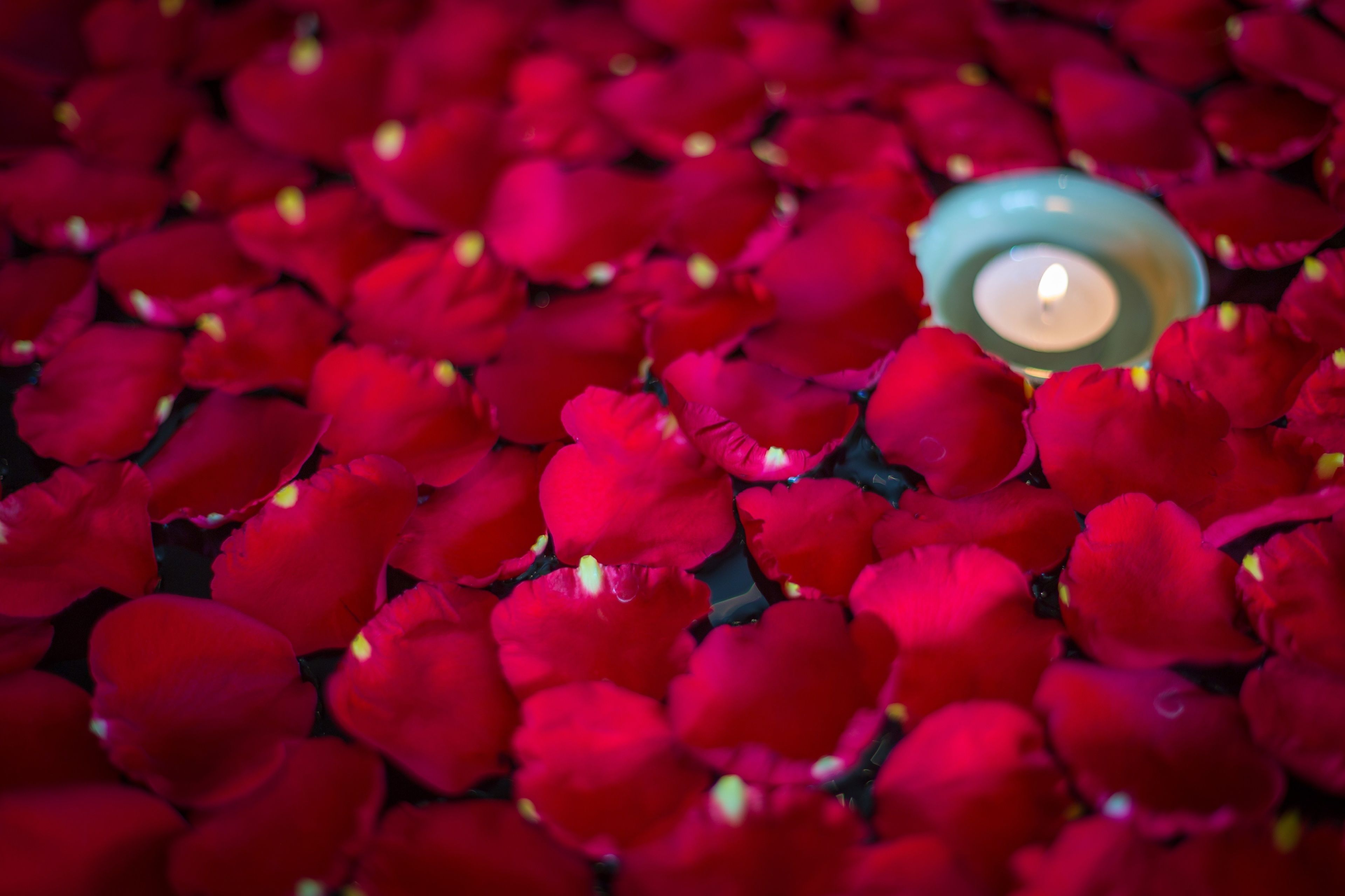 combined shower/bathtub, deep-soaking bathtub, free toiletries