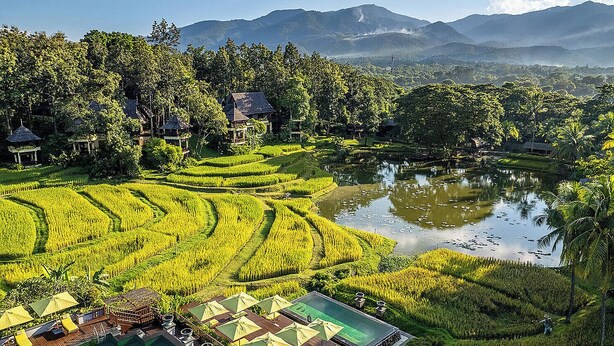 Een resort met terrassen van rijstvelden, een zwembad en uitzicht op bergen.