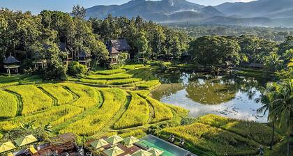 Four Seasons Resort Chiang Mai