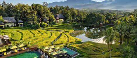 A resort with terraced rice fields, a swimming pool, and traditional-style buildings.