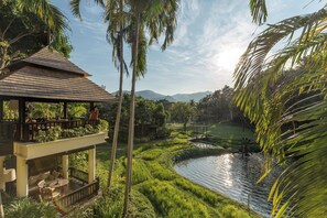 Garden view - Four Seasons Resort Chiang Mai (Mae Rim)