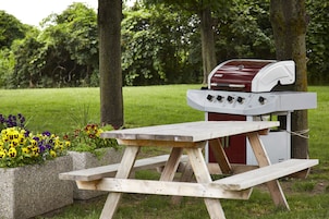 Ein Picknicktisch mit einem Grill in einem Park.