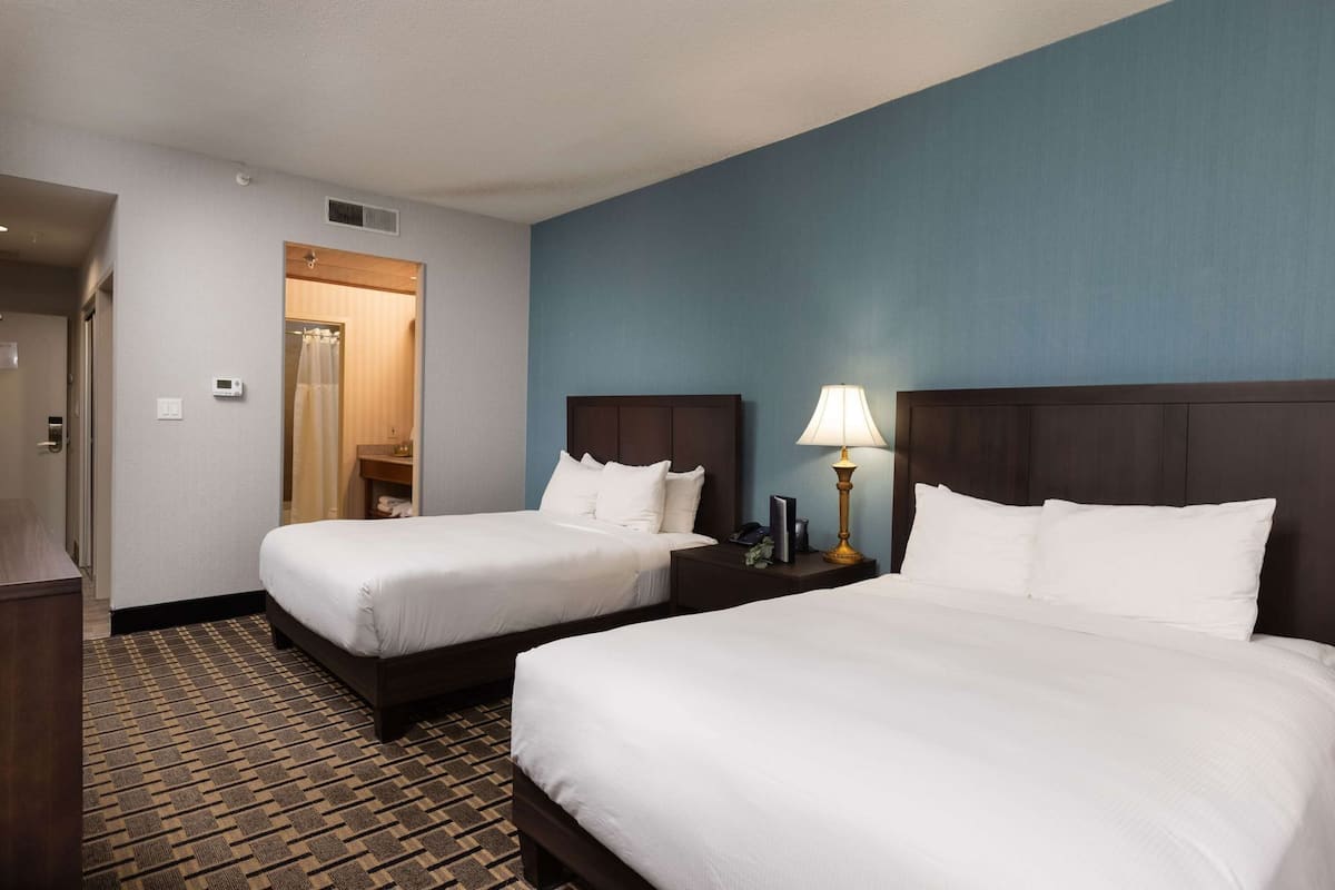 Premium bedding, in-room safe, desk, blackout drapes