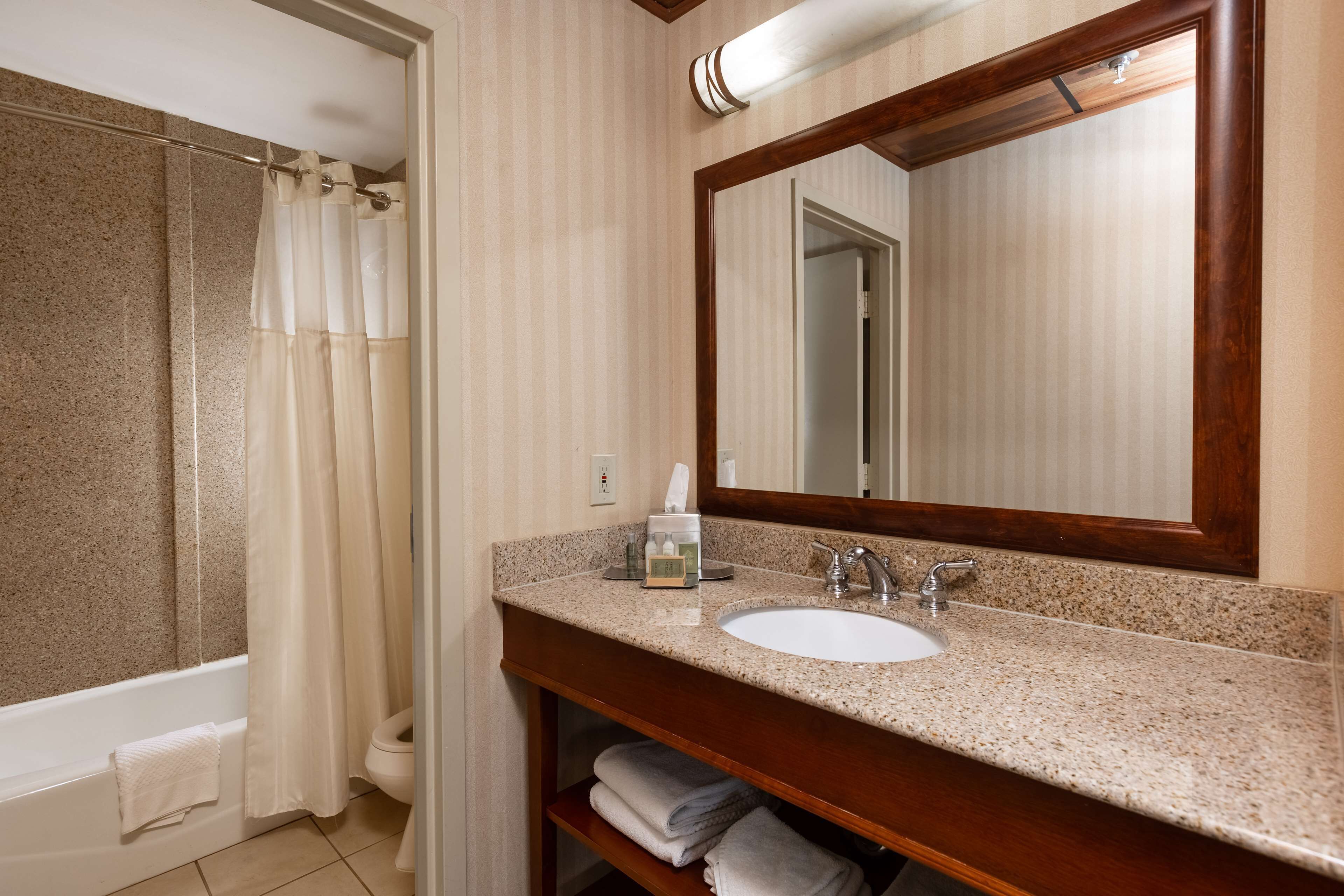 A bathroom with a sink, mirror, and shower curtain.