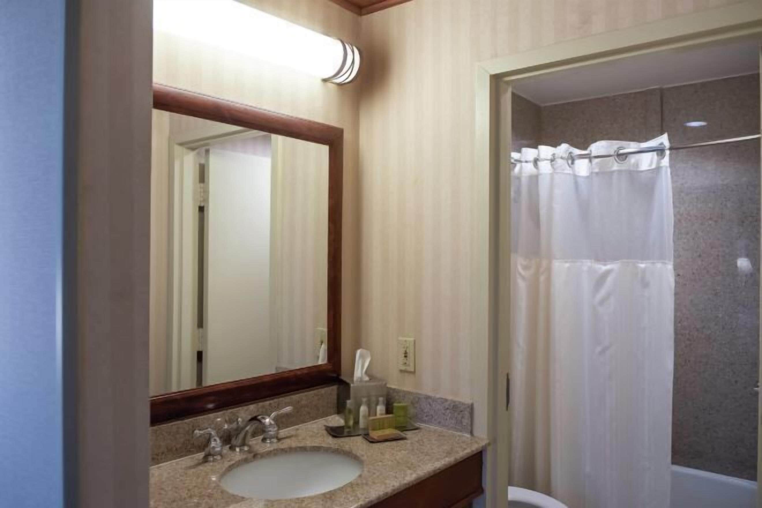 ฝักบัวในอ่างอาบน้ำ, ของใช้ในห้องน้ำฟรี, ไดร์เป่าผม, ผ้าเช็ดตัว