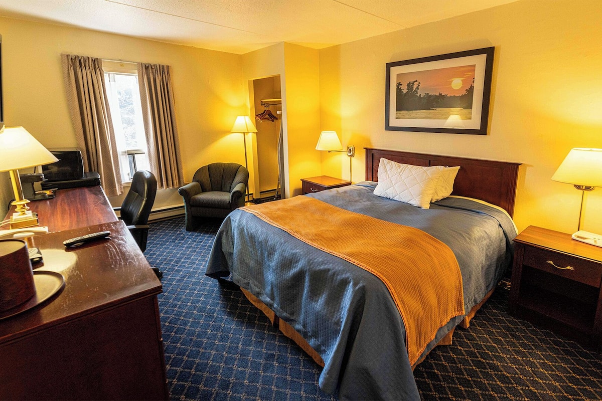 Ein Hotelzimmer mit einem Bett, einem Schreibtisch mit Lampe, einem Sessel, einem Fernseher und einem gerahmten Bild an der Wand.