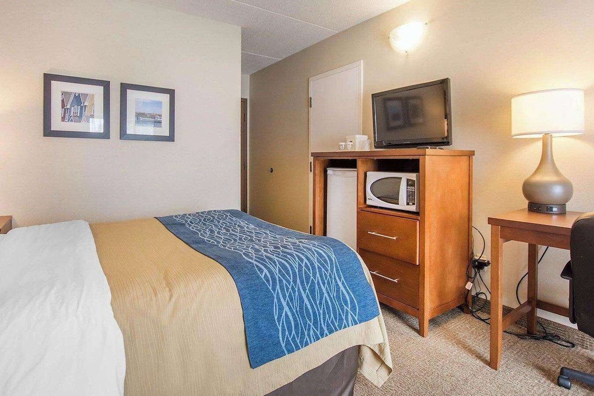 Standaard kamer, 1 queensize bed met slaapbank, niet-roken, op benedenverdieping | Donzen dekbedden, pillowtop-bedden, een bureau, verduisterende gordijnen