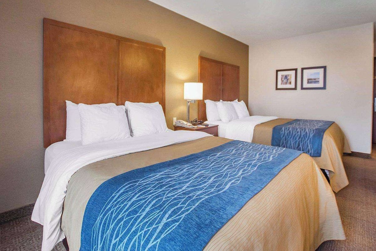 A hotel room with two beds, wooden headboards, a bedside table with a lamp, and two framed pictures on the wall.