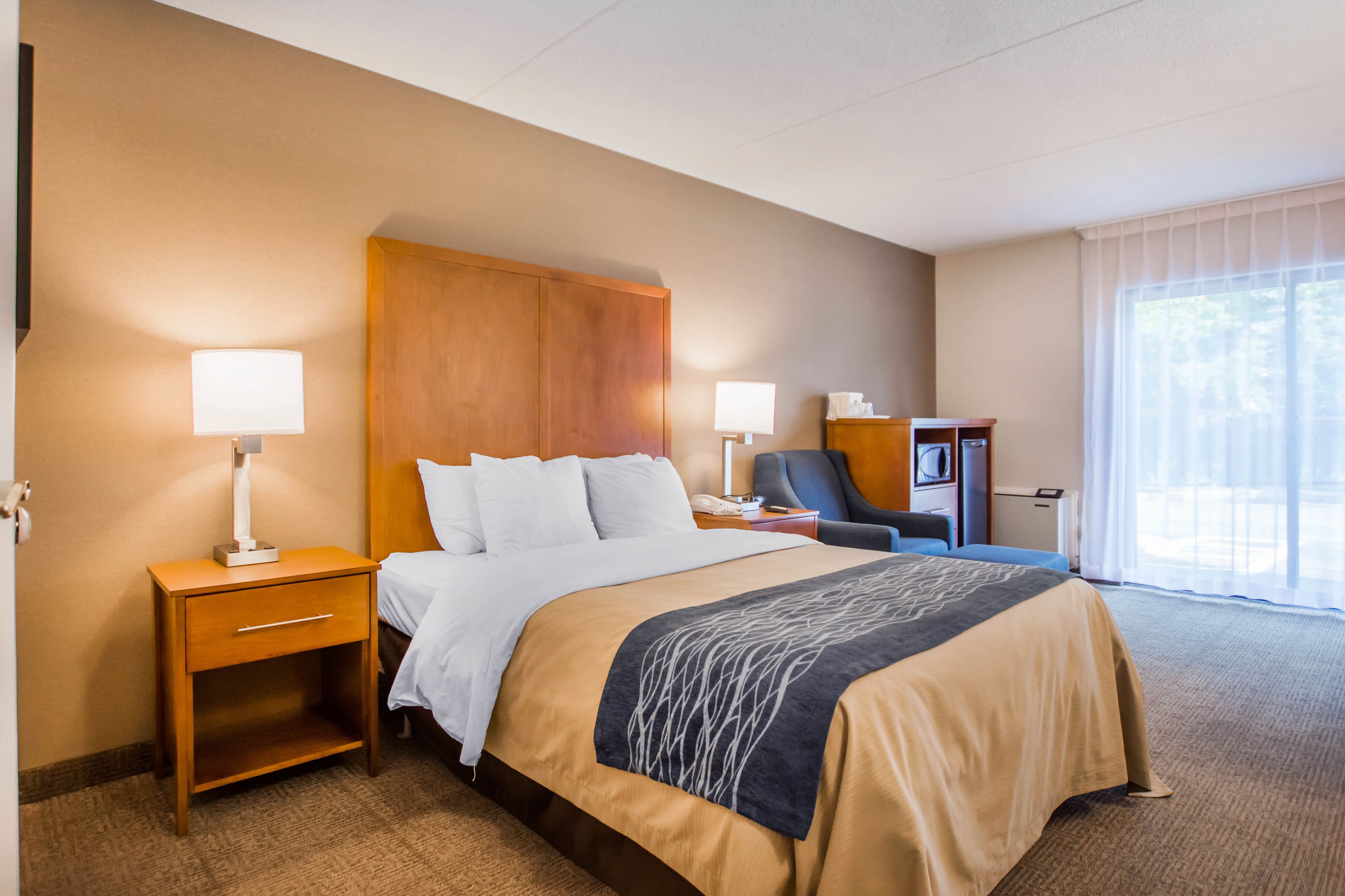 room, 1 queen bed with sofa bed, accessible, non smoking | view from room