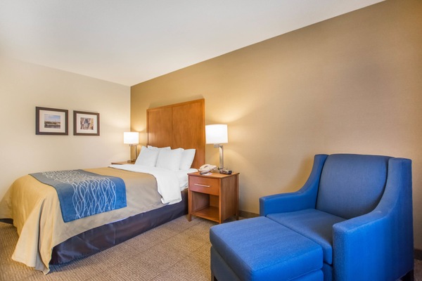 Standard Room, 1 Queen Bed, Non Smoking | Down comforters, pillowtop beds, desk, blackout drapes