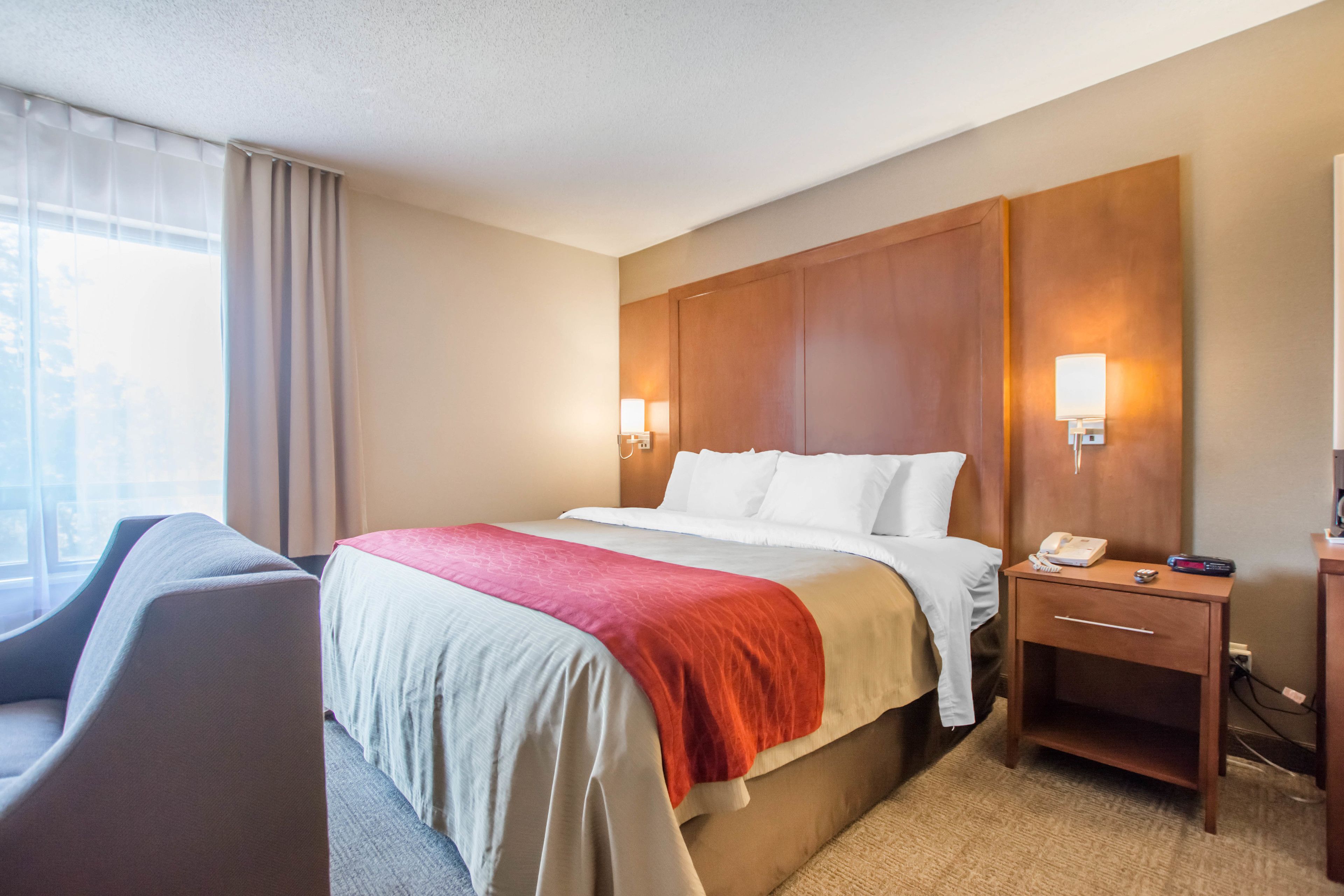 suite, 1 king bed with sofa bed, non smoking | view from room