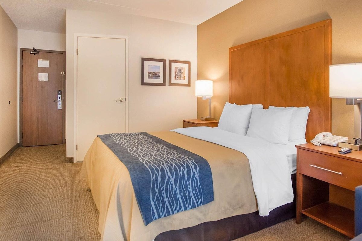 Down duvets, pillow-top beds, desk, blackout curtains