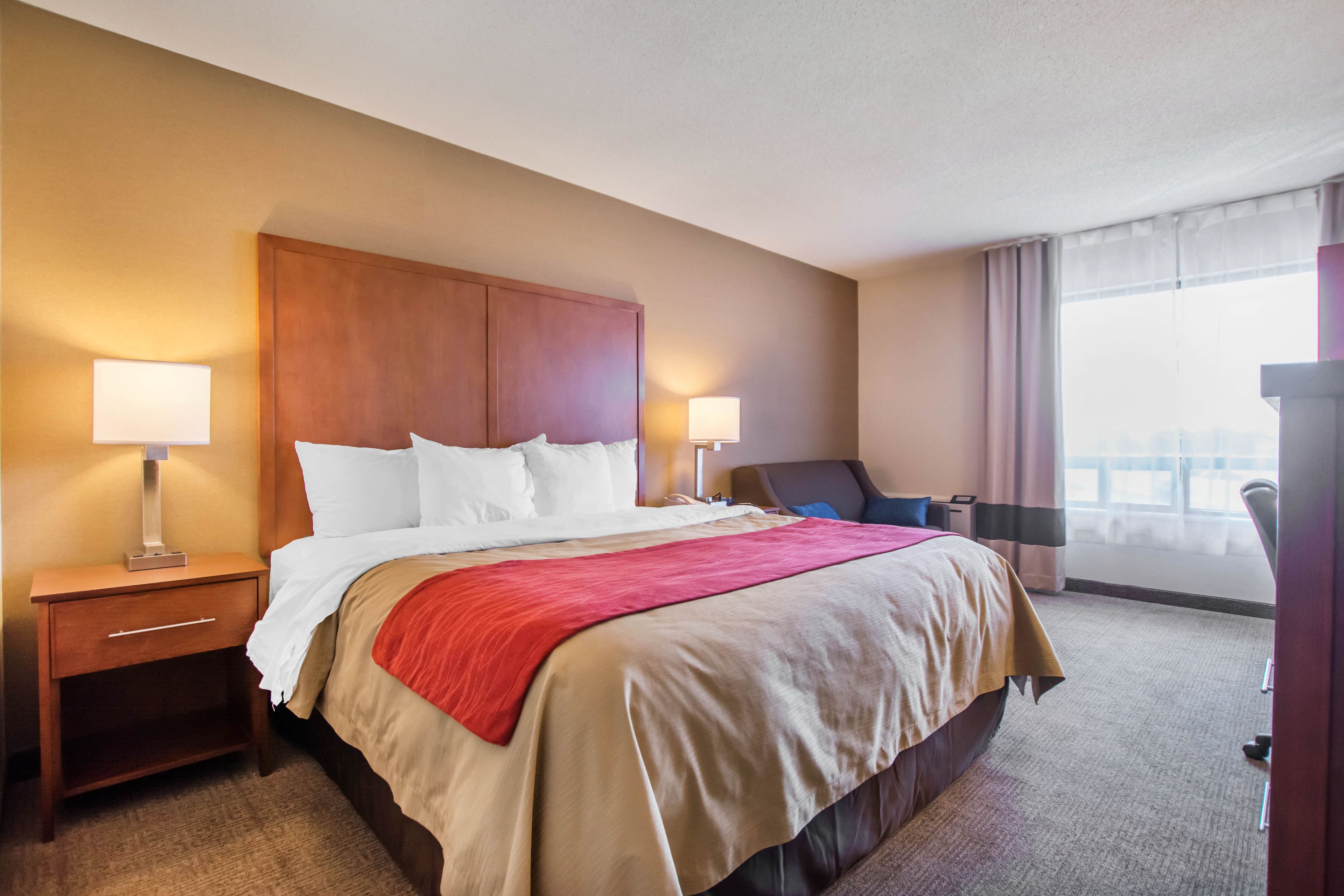 standard room, 1 king bed, non smoking | view from room