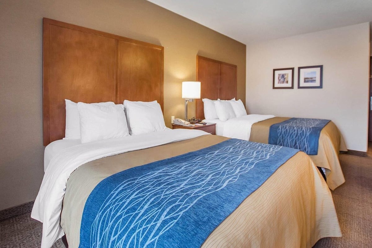 Down duvets, pillow-top beds, desk, blackout curtains