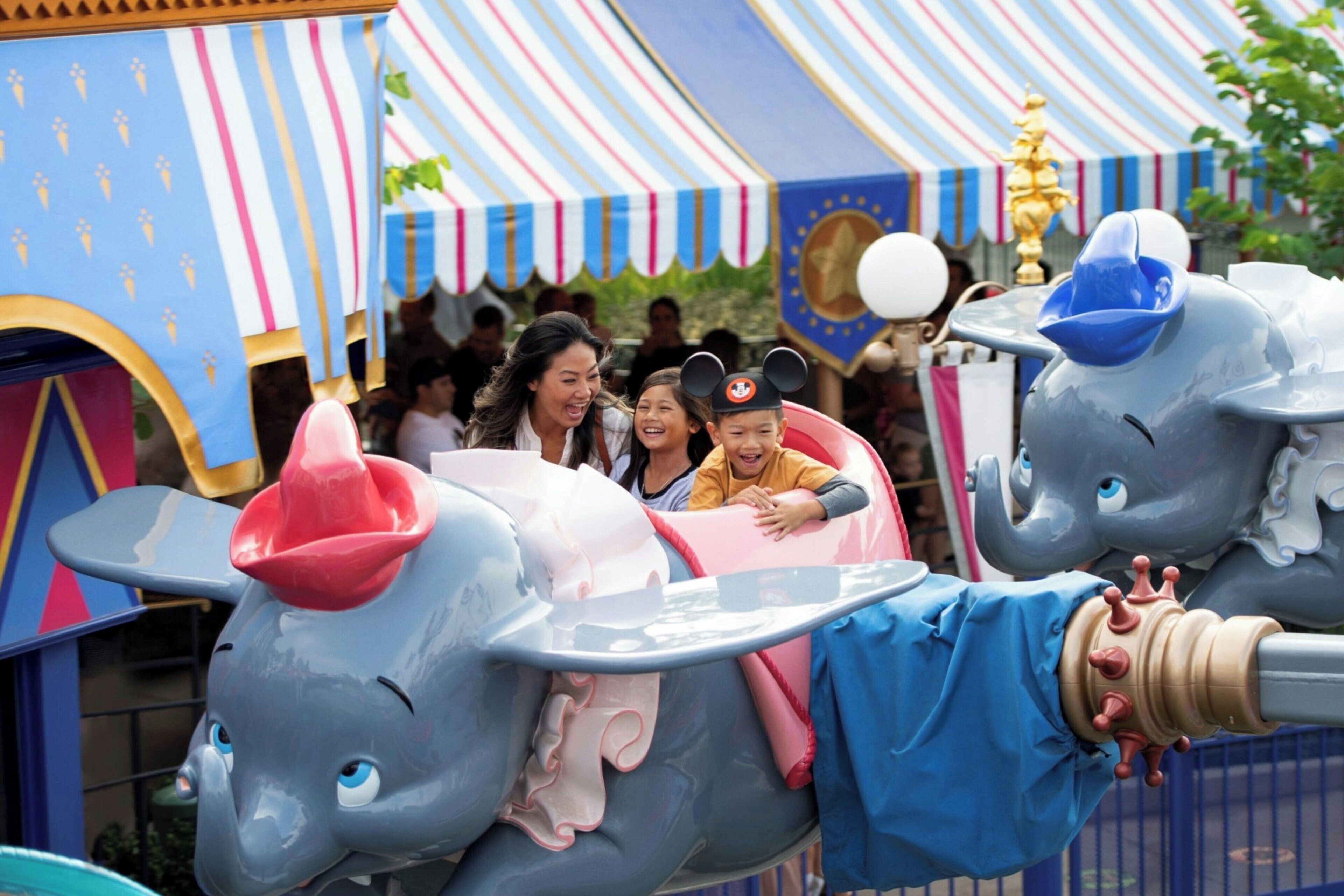 A ride with two elephants, one with a red hat and the other with a blue hat, and a person in a Mickey Mouse hat.