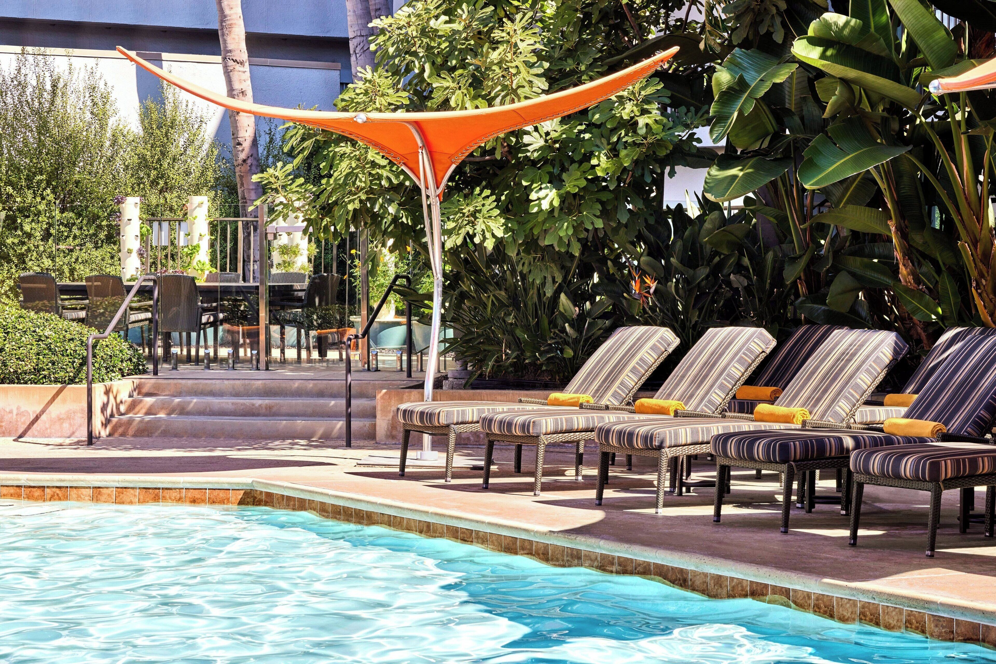 outdoor pool, pool umbrellas, pool loungers