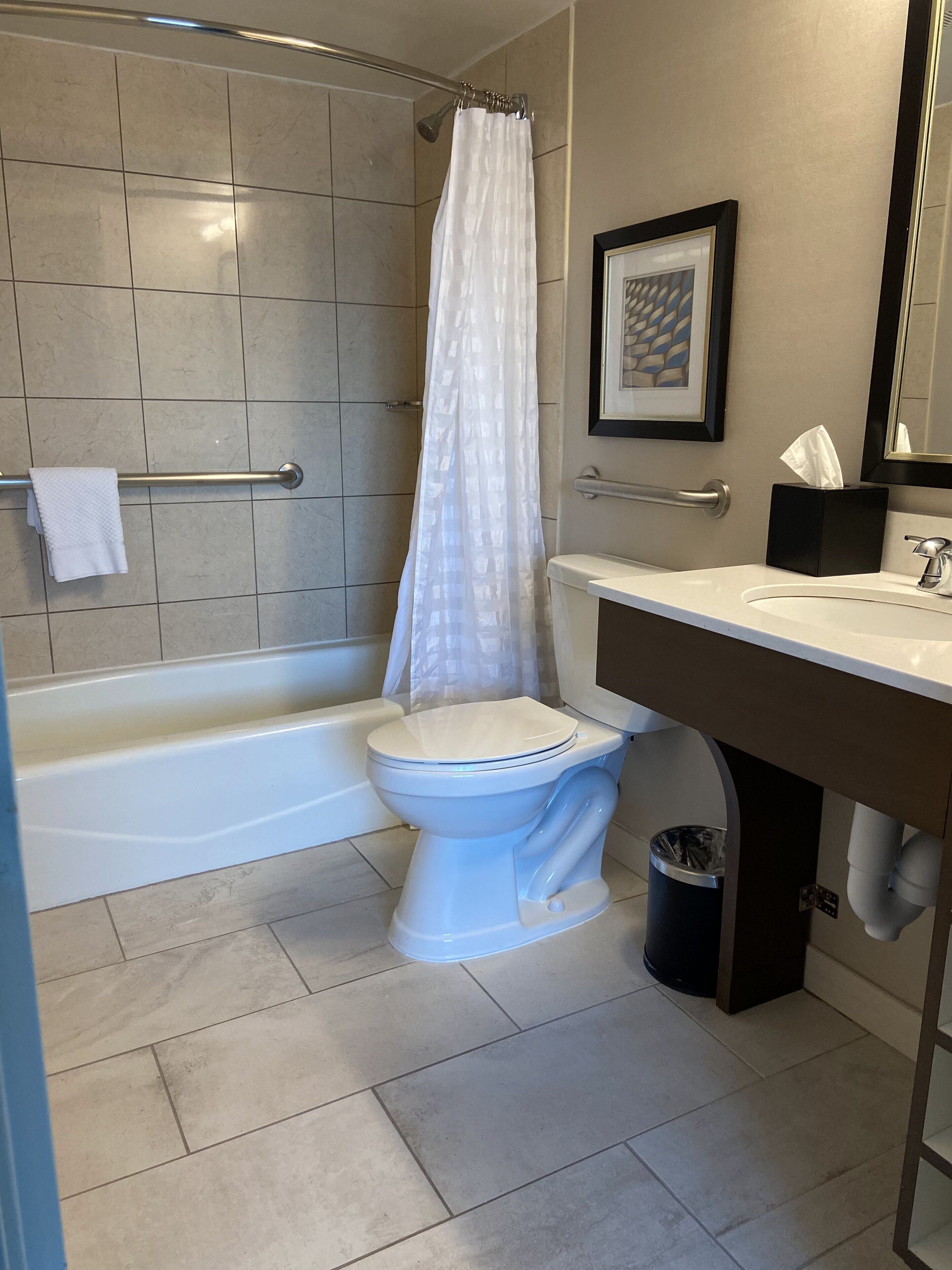 suite, 1 king bed with sofa bed, accessible, bathtub | bathroom | combined shower/bathtub, free toiletries, hair dryer, towels