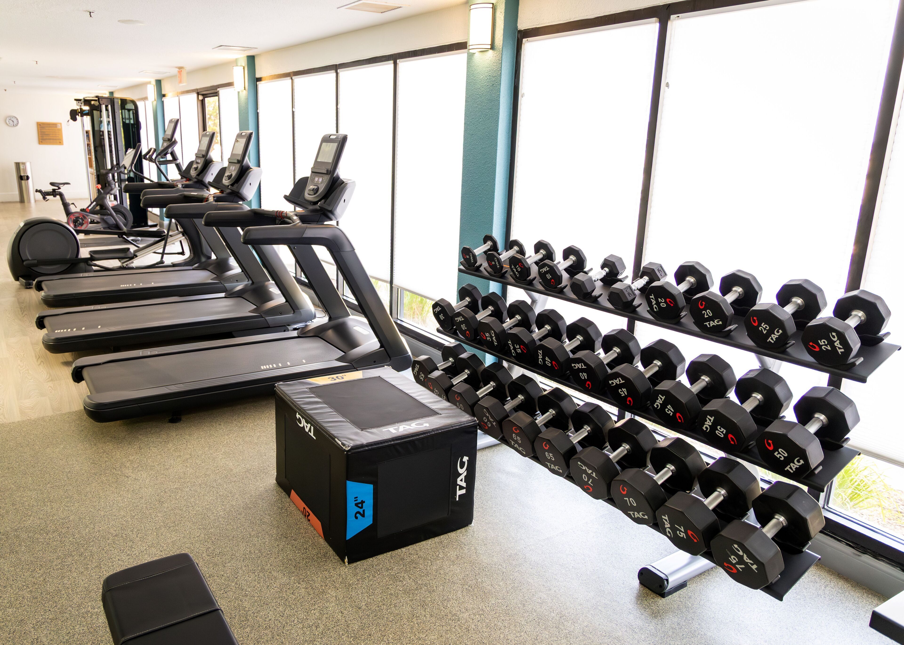 A gym with treadmills, dumbbells, and a weight bench.