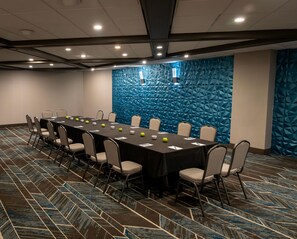 Meeting facility - Embassy Suites by Hilton Chicago Schaumburg Woodfield (Schaumburg)