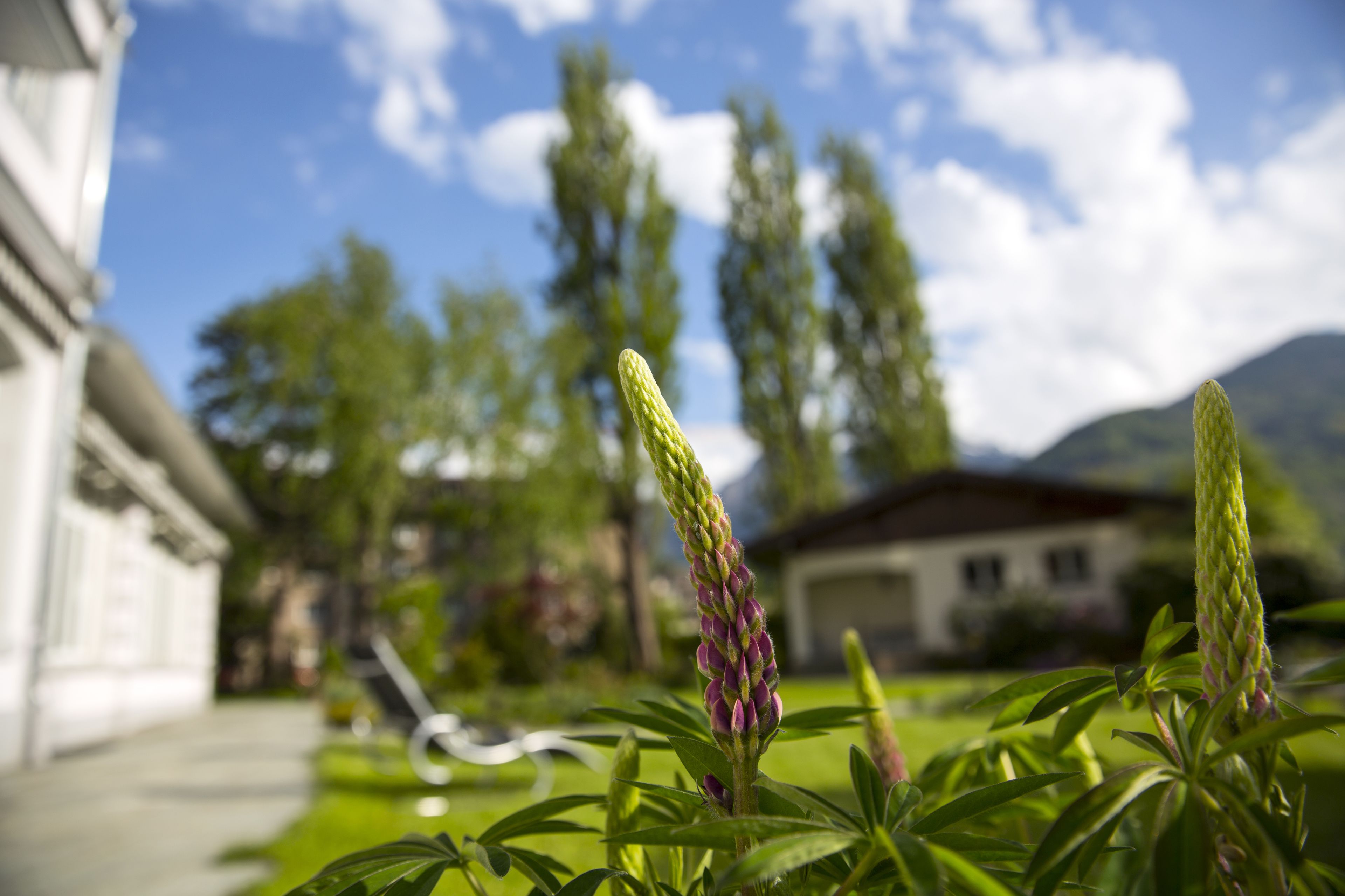 Foto - Boutique Hotel Bellevue