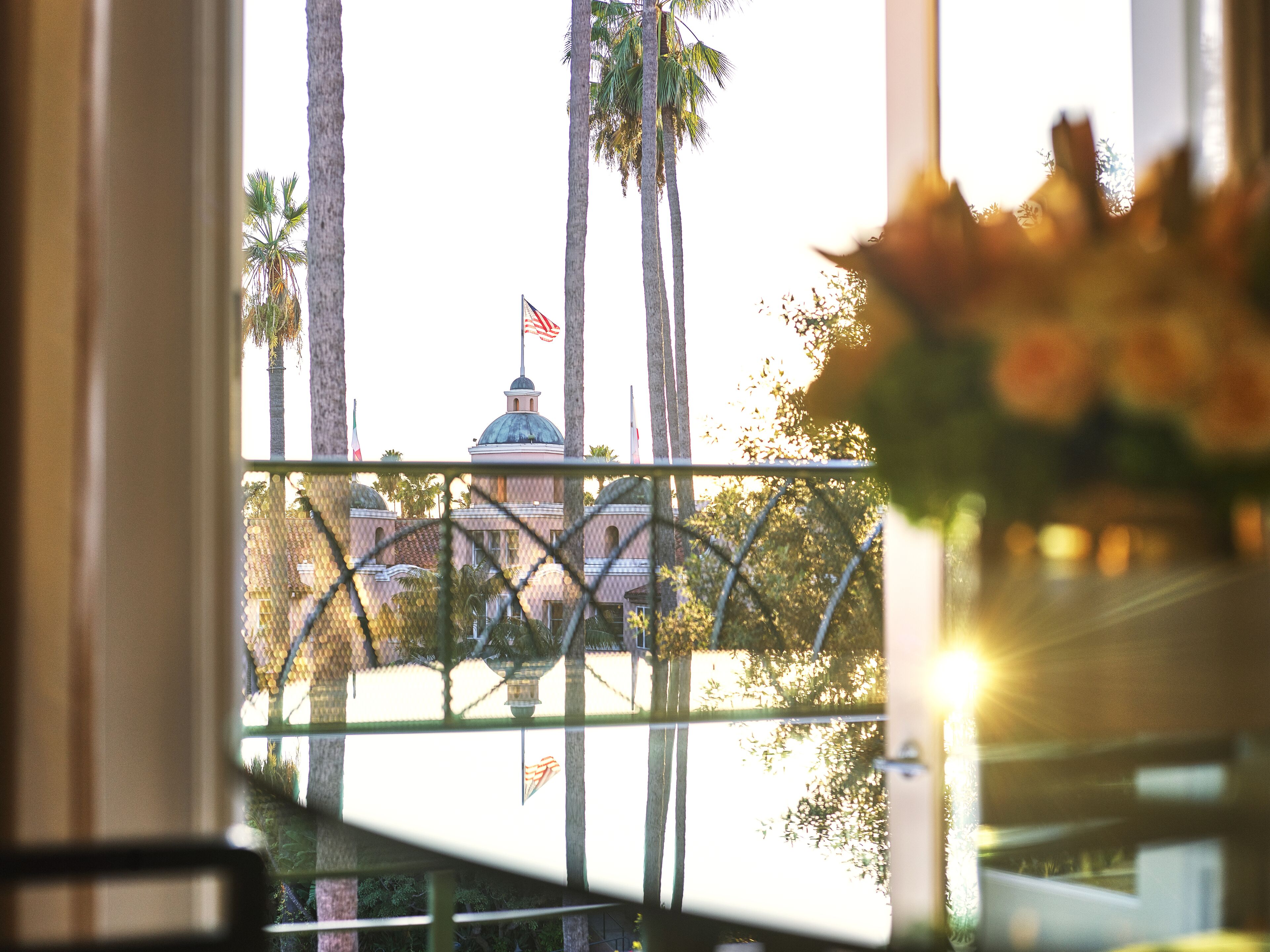 A view through a window with a metal railing, featuring palm trees, a building with a dome, and a flag.