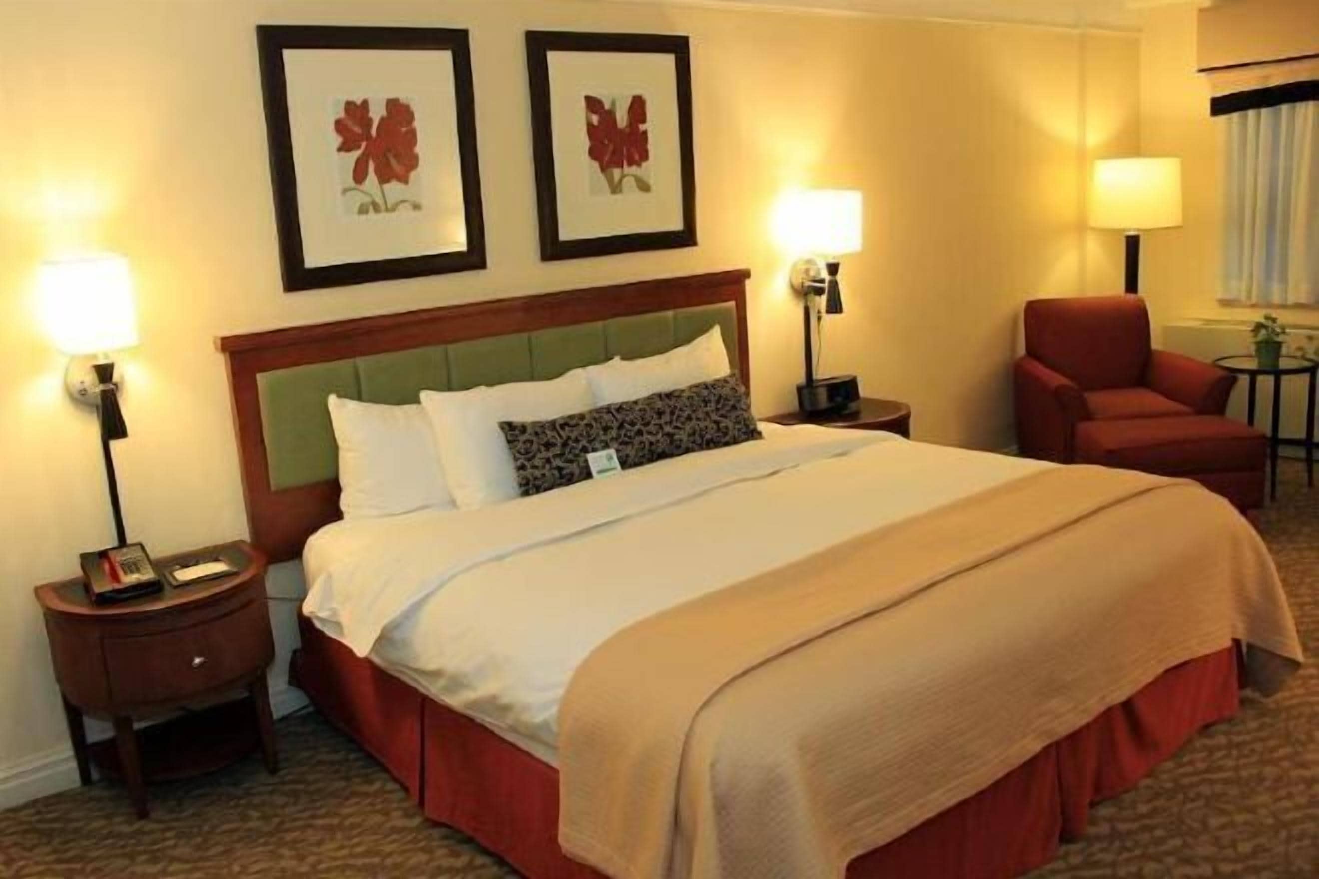 Ropa de cama de alta calidad, edredón y camas con pillow-top 