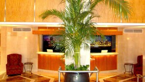 Rebedor amb una palmera alta en test, una taula de recepció i un sostre alt amb vista a la ciutat.