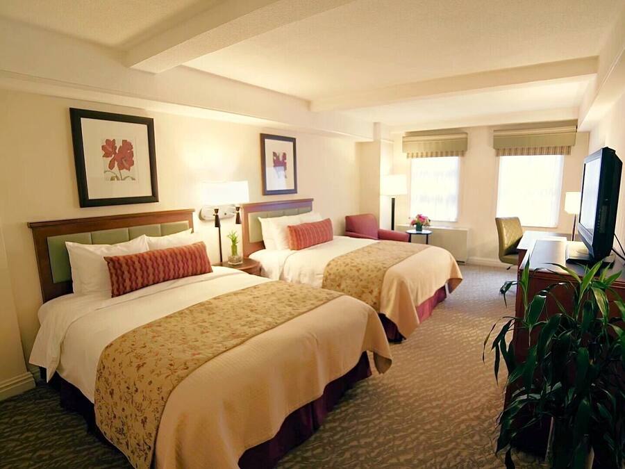 A hotel room with two beds, a television, a desk, and a potted plant.