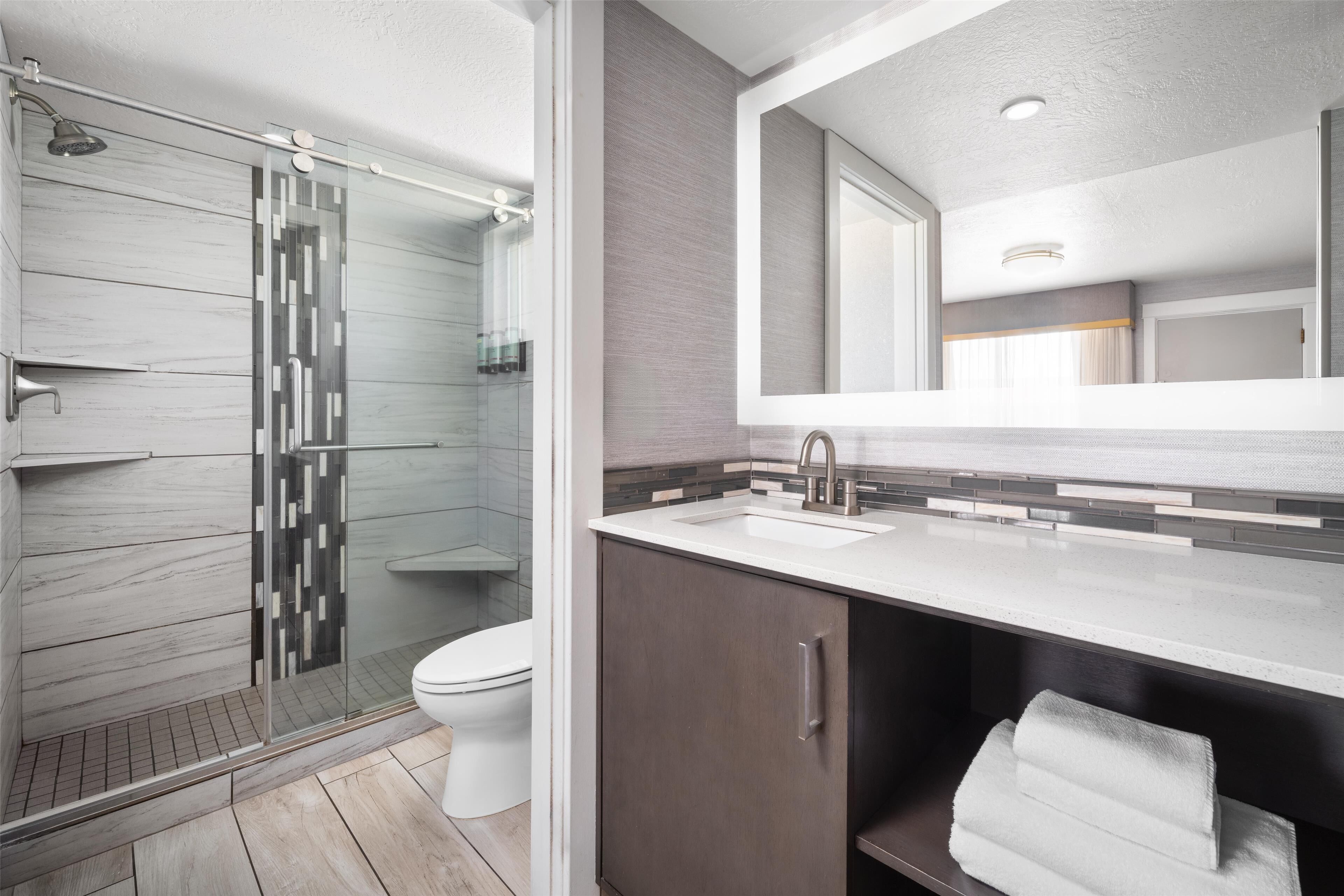 combined shower/bathtub, free toiletries, hair dryer, towels