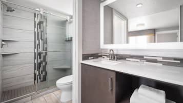 Ensemble douche/baignoire, articles de toilette gratuits, sèche-cheveux