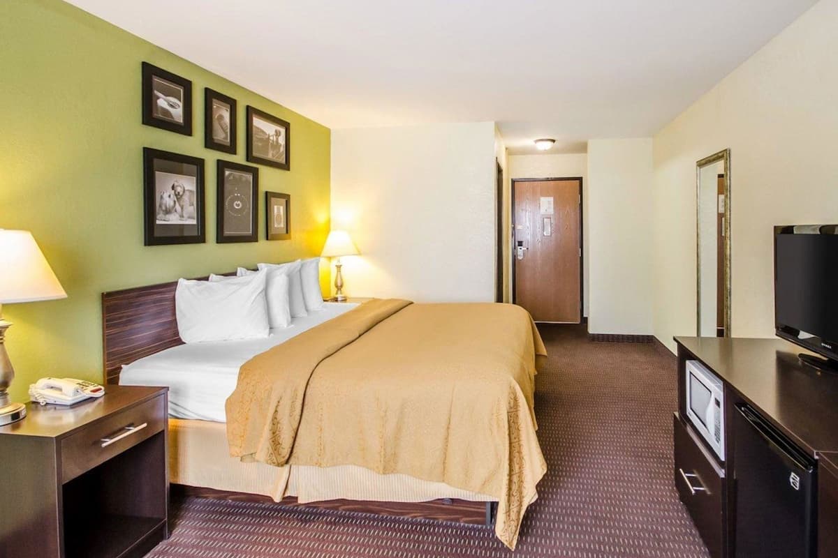 A hotel room with a bed, bedside table, lamp, wall-mounted TV, and framed pictures.