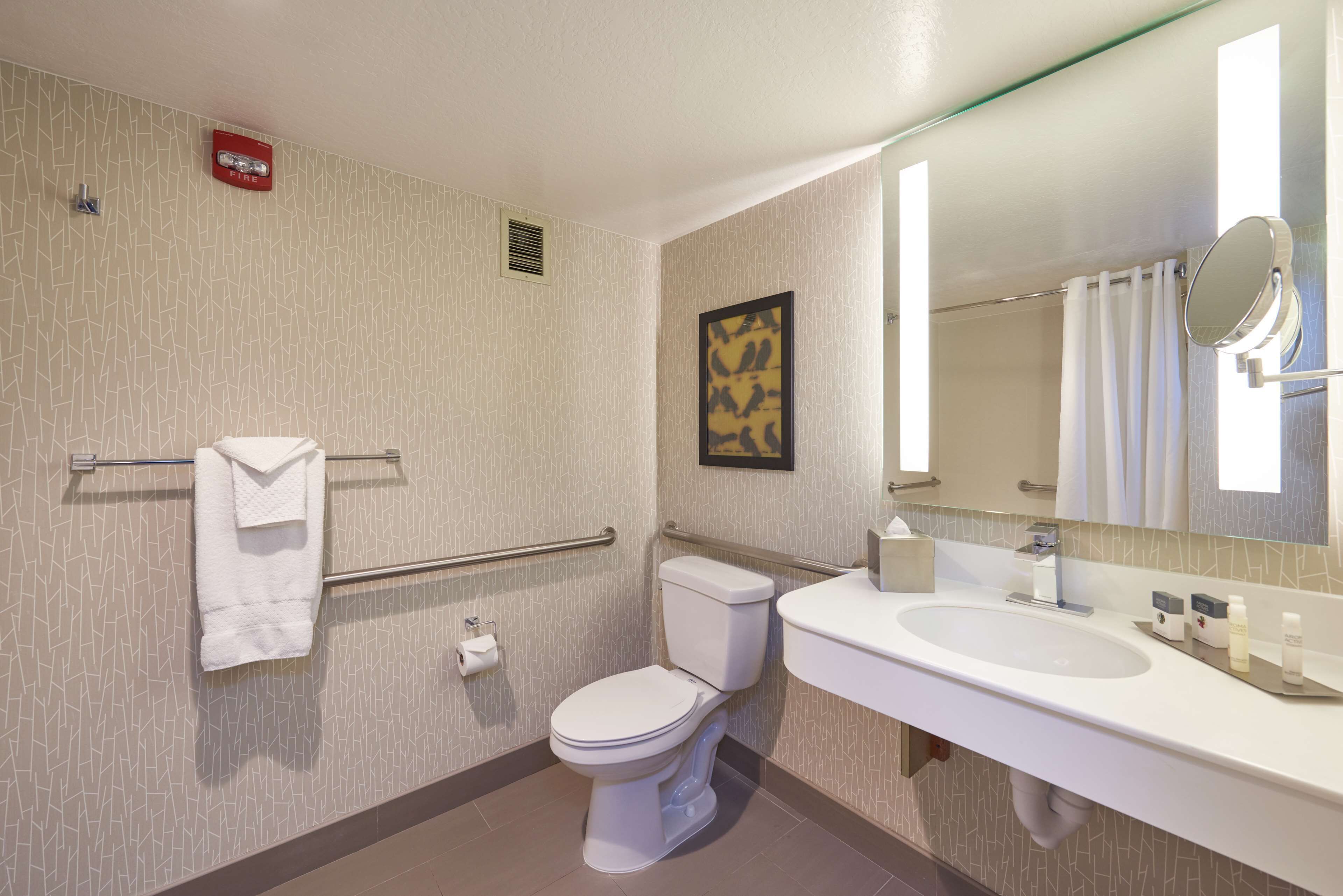 king, room, accessible | bathroom | combined shower/bathtub, free toiletries, hair dryer, towels