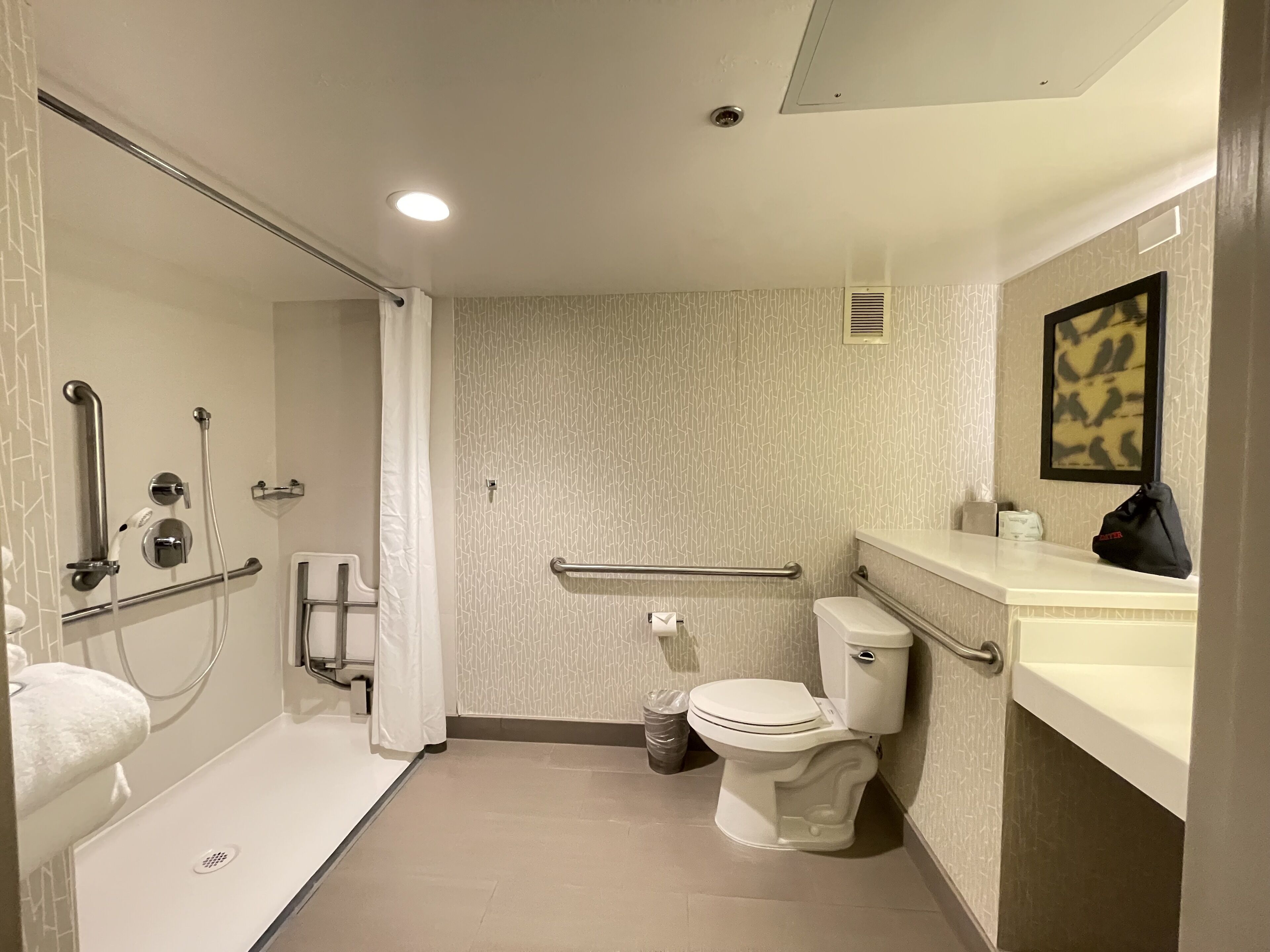 A bathroom with a shower, toilet, and sink, equipped with grab bars and a hand dryer.