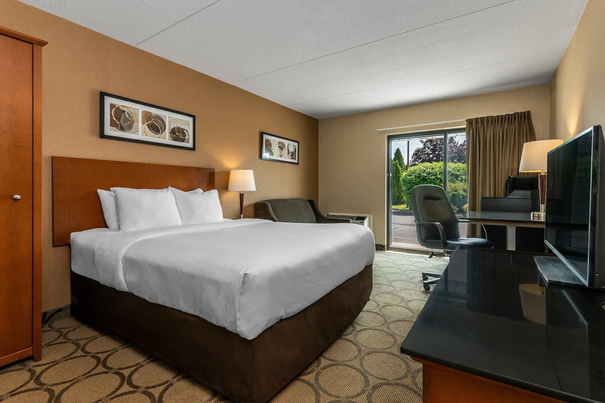 Standard Room, 1 Queen Bed with Sofa bed, Non Smoking | Premium bedding, desk, iron/ironing board, WiFi (free)