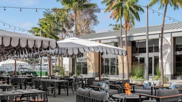 Terras