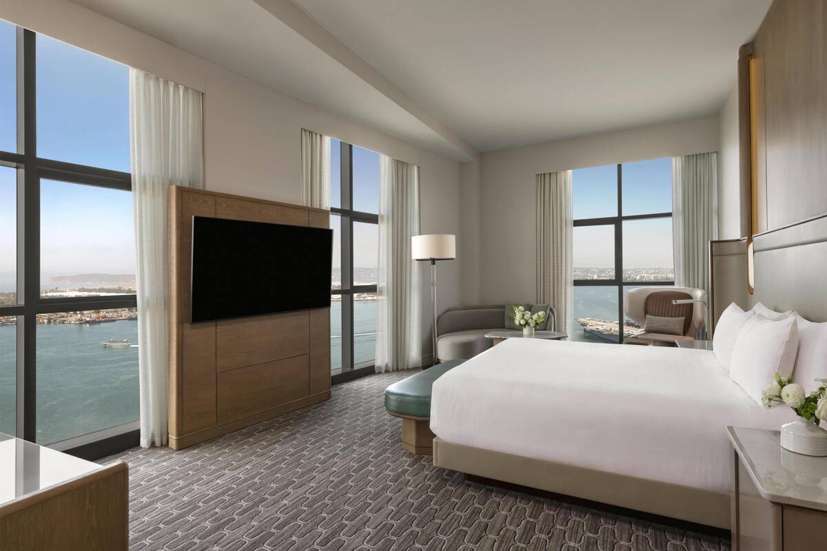 Suite (Penthouse) | Hypo-allergenic bedding, down duvets, in-room safe, desk
