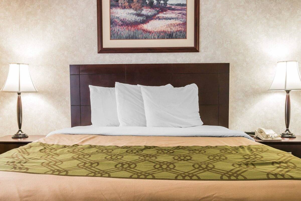 A hotel room with a bed, two bedside lamps, a telephone, and a framed picture on the wall.