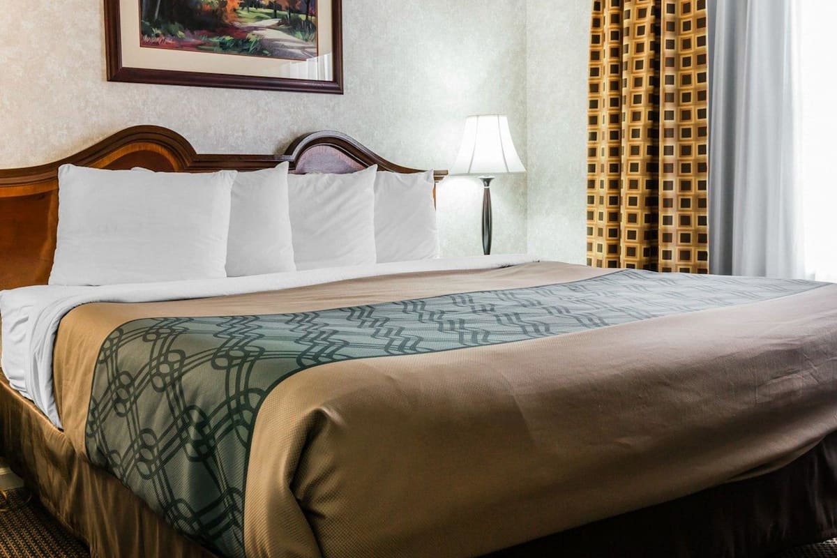 suite, 1 king bed with sofa bed, non smoking | in-room safe, desk, iron/ironing board, free wifi